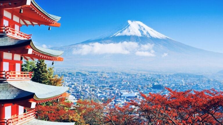 From Tokyo: Mount Fuji and Hakone Private Day Tour