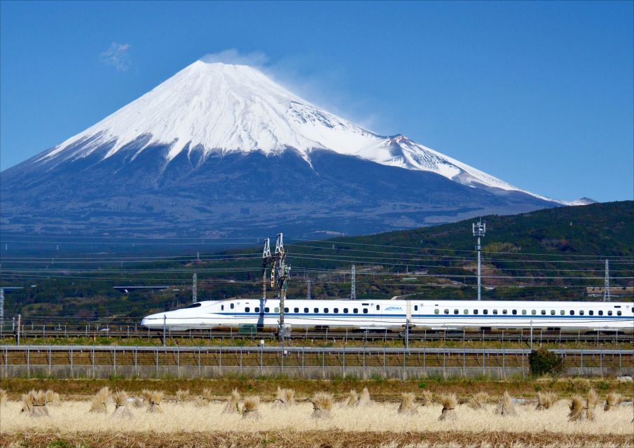 From Tokyo: Mt. Fuji & Hakone Tour W/ Return by Bullet Train - Good To Know