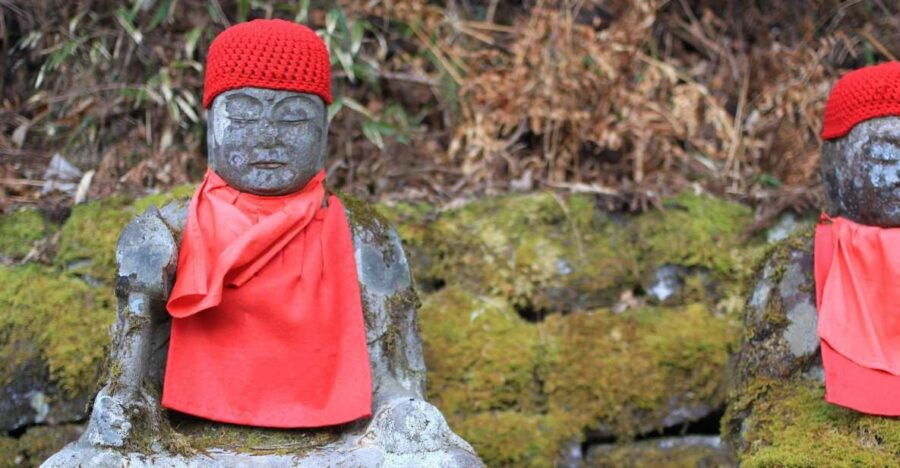 From Tokyo: Private Day Trip to Nikko - Good To Know
