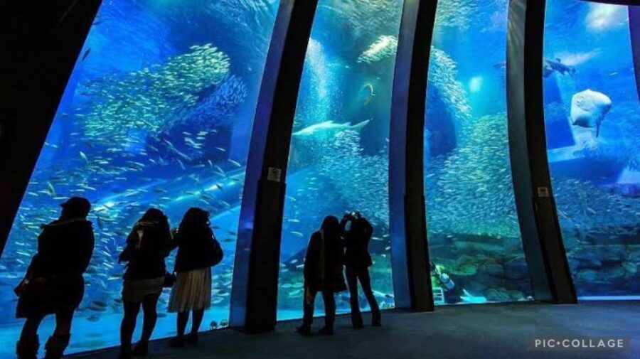 From Tokyo: Private Full Day Yokohama Tour W/Hotel Pick up - Good To Know