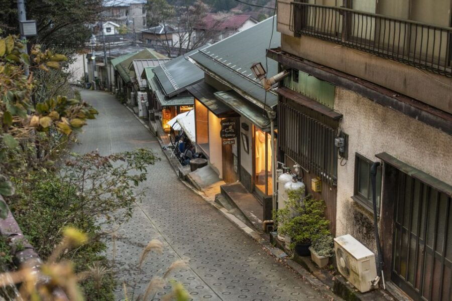From Tokyo: Private Scenic Day Trip to Hakone - Good To Know
