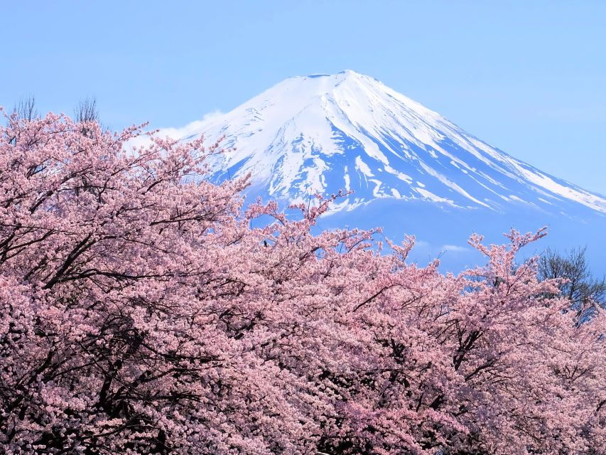 From Tokyo to Mount Fuji: Full-Day Tour and Hakone Cruise - Good To Know