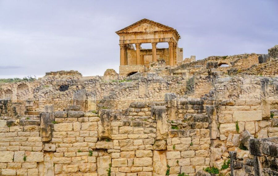 From Tunis: Half-Day Dougga Tour - Good To Know