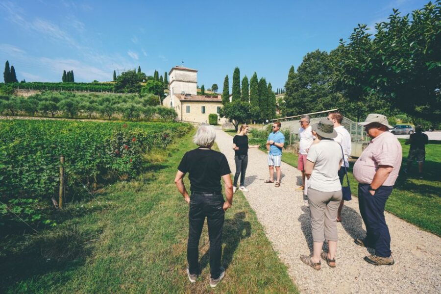 From Verona: Amarone Wine Trail Tour - Good To Know