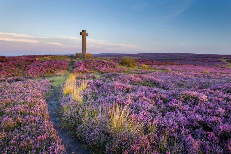 From York: Day Trip to Whitby and The North York Moors - Good To Know