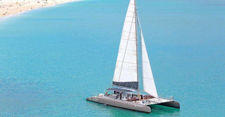 Fuerteventura: Magic Catamaran Trip With Food and Drinks - Good To Know