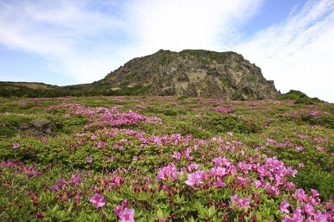 Full-Day Customizable Private Essential Jeju Island Tour for South Course - Good To Know