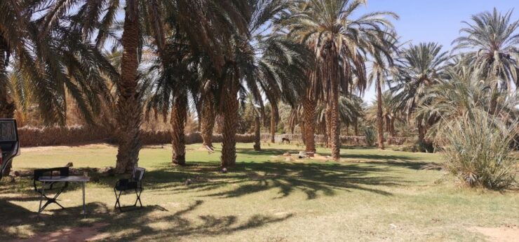 Full Day Excursion to Ksar Ghilane by 4x4. - Good To Know