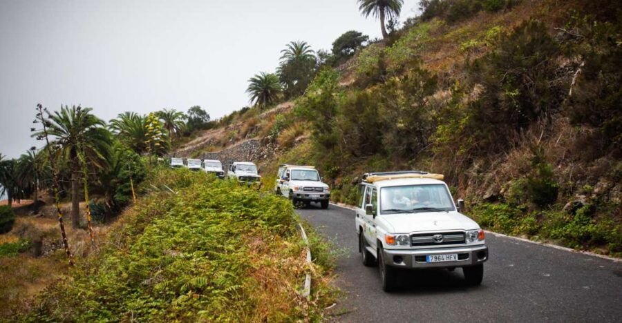 Full-Day Gomera Jeep Safari Excursion From Arona - Good To Know