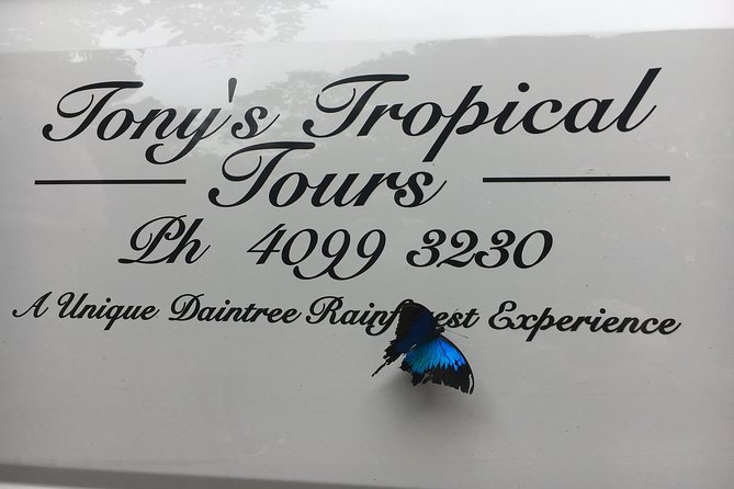Full-Day Group Tour of Daintree, Cape Tribulation, and More  - Port Douglas - Quick Takeaways