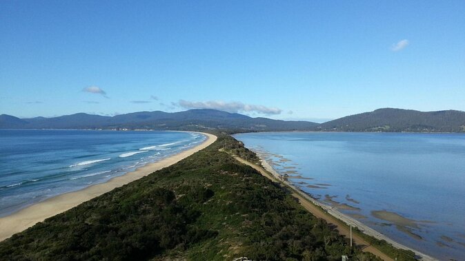 Full-Day Guided Bruny Island Tour From Hobart