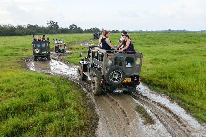 Full Day Wilpaththu National Park Safari (All Inclusive)