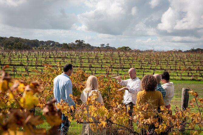 Full Day Wine & All About It Tour: Scones, Chocolate, Wineries, Lunch & More
