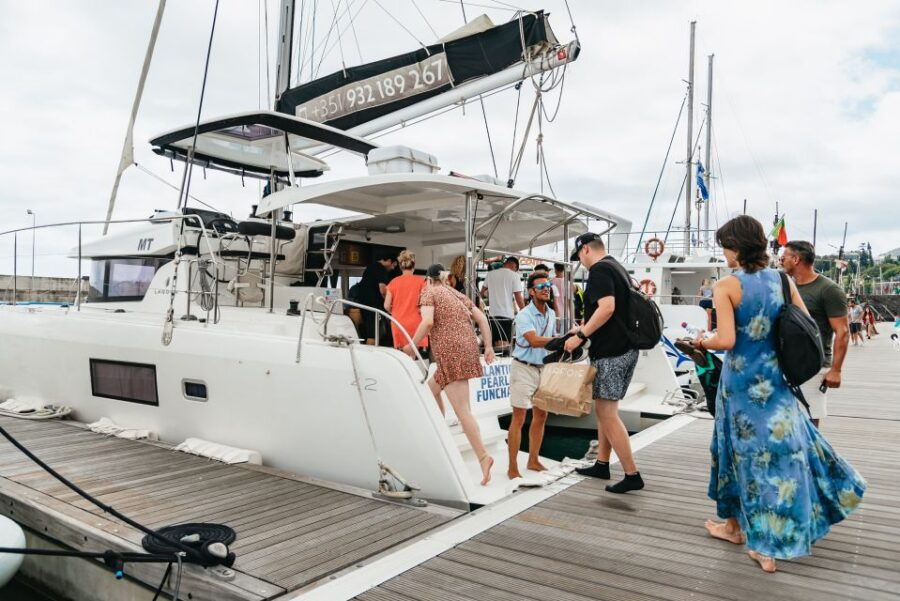 Funchal Bay: Dolphin & Whale Watch Luxury Catamaran Cruise - Good To Know