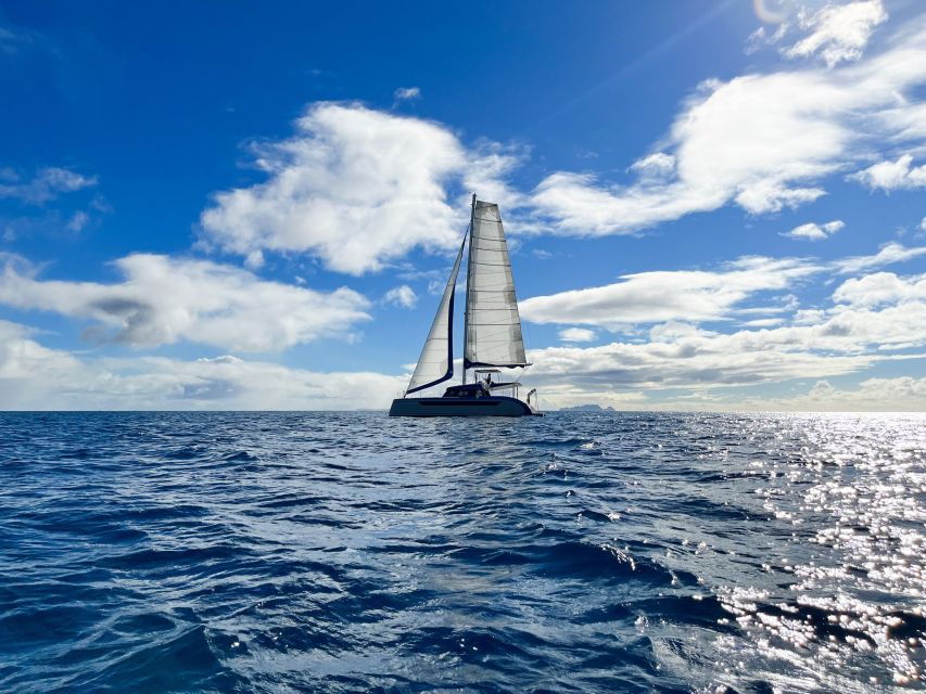 Funchal: Luxury Catamaran Sunset Cruise - Good To Know
