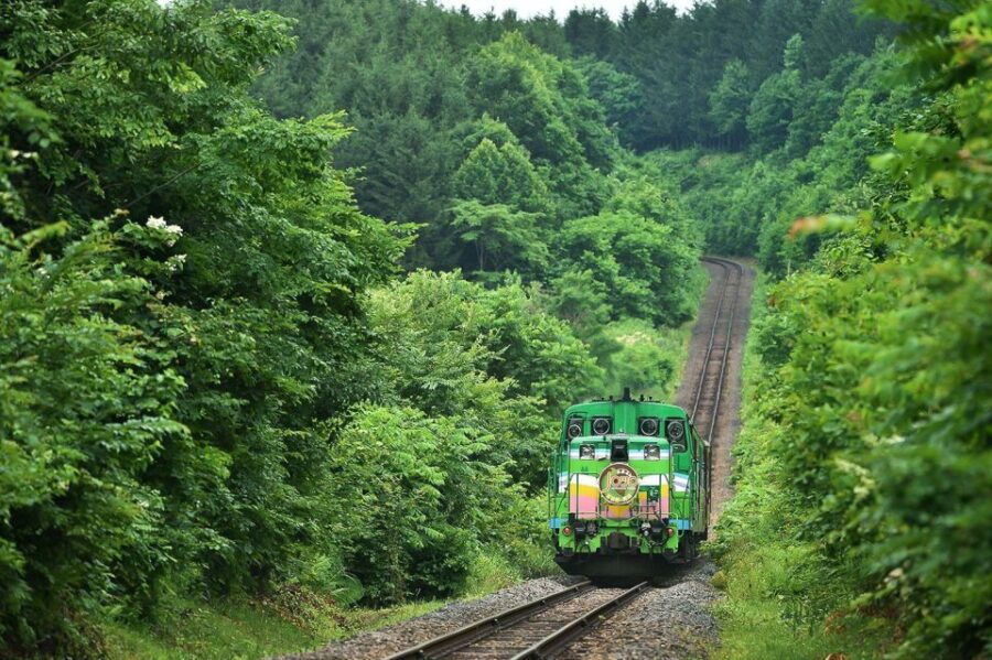 Furano & Biei All Must-Sees Private Chauffeur Full-day Tour
