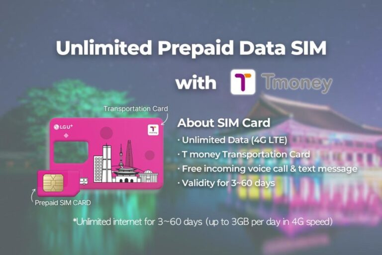 Gimpo Airport: Traveler SIM and T-money Transportation Card
