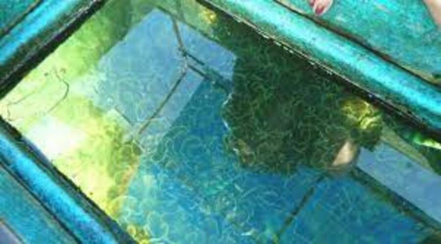 Glass Bottom Boat Ride in Trincomalee - Good To Know