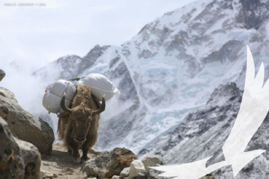 Gokyo Lakes With Everest Base Camp - Good To Know