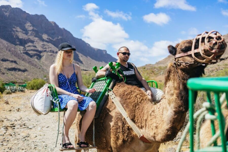 Gran Canaria: Camel Ride Safari W/ Optional Food & Transport - Good To Know