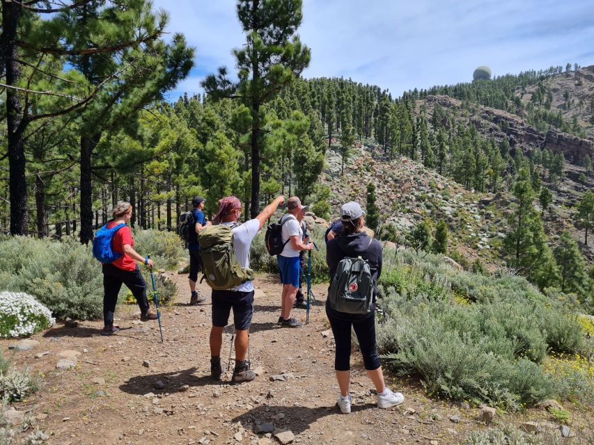 Gran Canaria: "Peaks of Gran Canaria" Hiking Tour - Good To Know