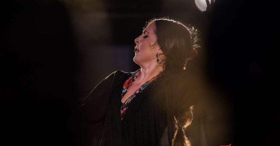 Granada: Flamenco Show in Albaycin - Jardines De Zoraya - Good To Know