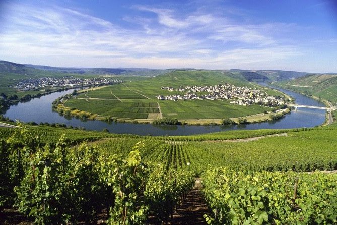 Grape Escape Mosel - Personal Wine Tours