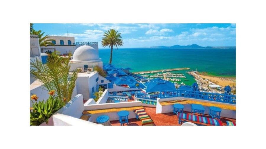 Guided Excursion : Tunis, Carthage and Sidi Bou Saïd - Good To Know