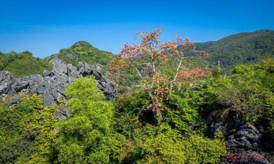 Ha Long Bay 5 Stars Cruise & Cat Ba Island 3days/2nights - Good To Know
