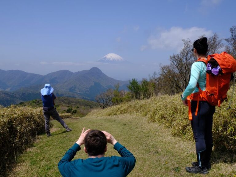 Hakone: Traverse the Hakone Caldera and Enjoy Onsen
