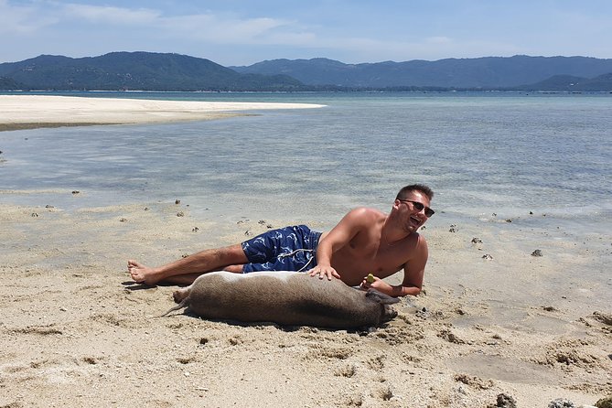 Half-Day Pig Island & Snorkeling Experience - Good To Know