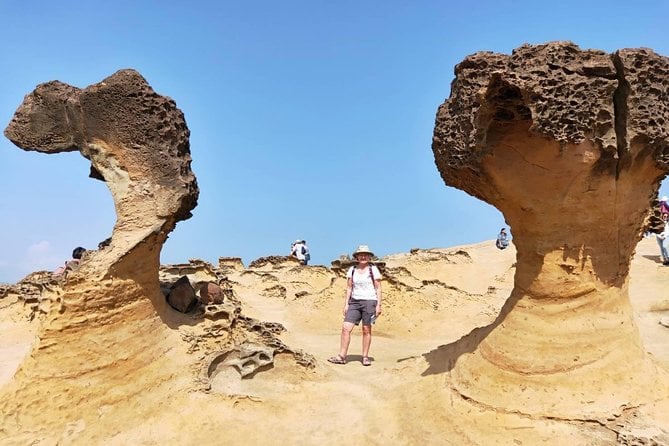 Half Day Private Tour to Yangmingshan National Park and Yehliu Geopark