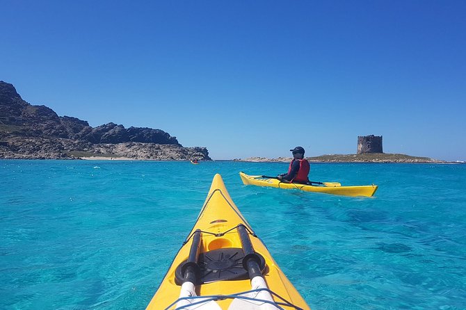 Half Day Sea Kayak Trip - Good To Know