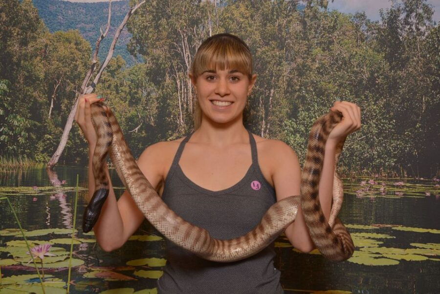 Hartley’s Crocodile Adventures: Entrance Ticket