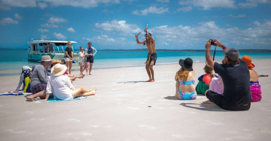 Hervey Bay: Turtle Discovery Eco Tour & Cultural Experience - Good To Know