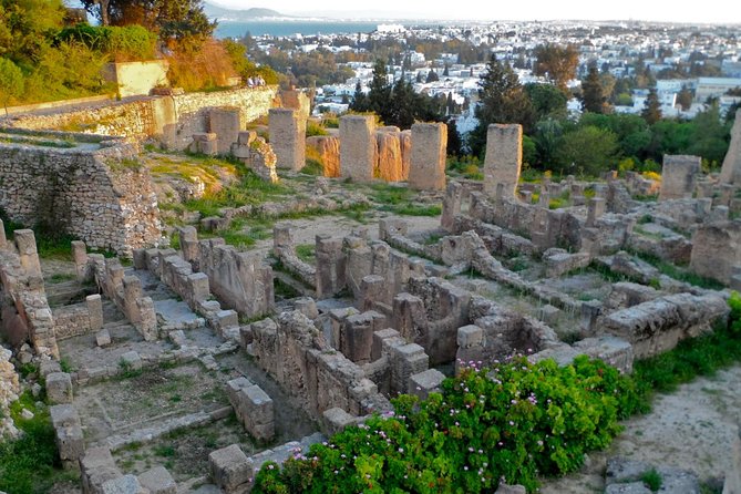 Historical Tour of Ancient Carthage