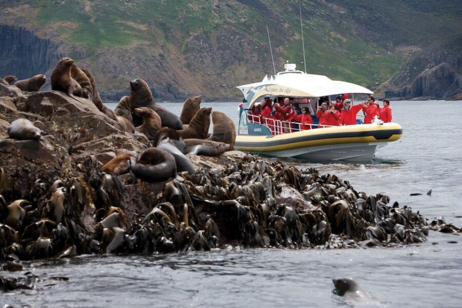 Hobart: Bruny Island Wilderness Coast Eco Cruise With Lunch - Good To Know