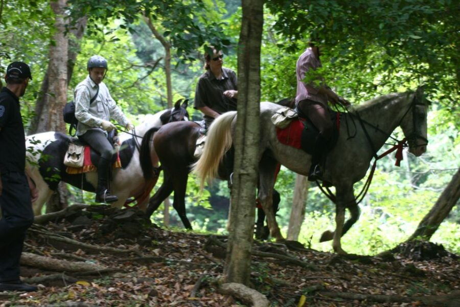 Horse Riding in Nuwara Eliya - Good To Know
