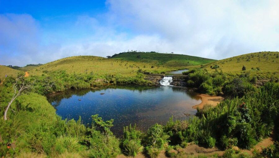Horton Plains National Park Tour & Scenic Train Ride - Good To Know
