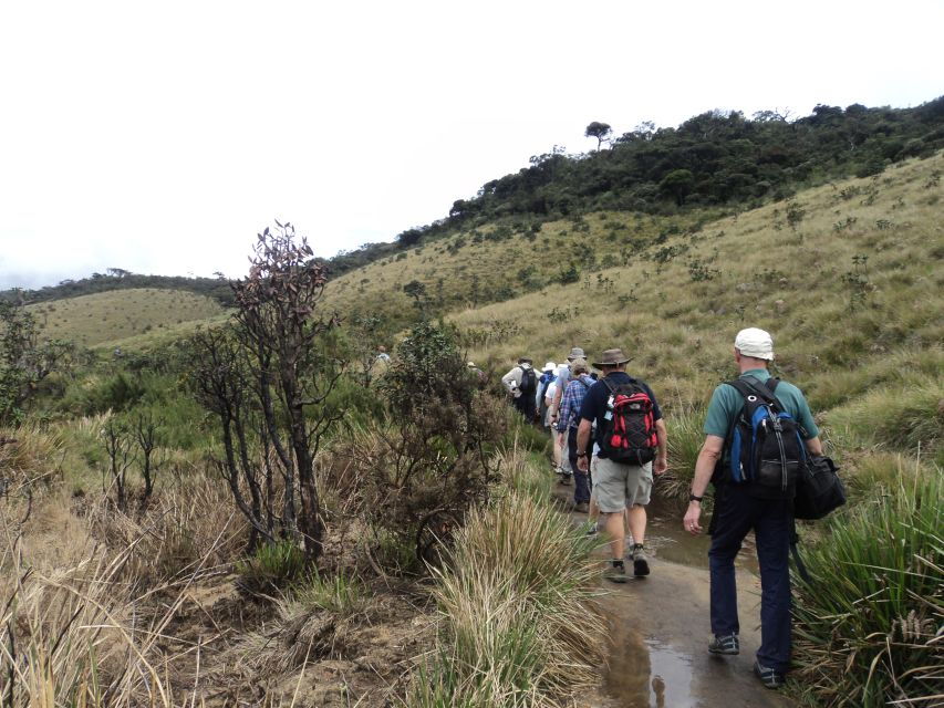 Horton Plains, Worlds End, Bakers Falls & Train Ride - Good To Know