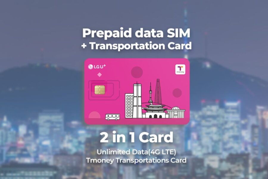 Incheon Airport: Traveler SIM & T-money Transportation Card - Good To Know