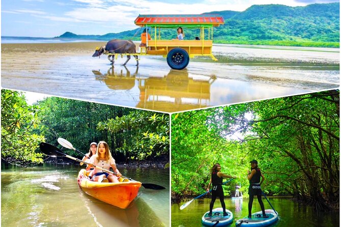 [Iriomote] SUP / Canoe Tour at Mangrove Forest Sightseeing in Yubujima Island