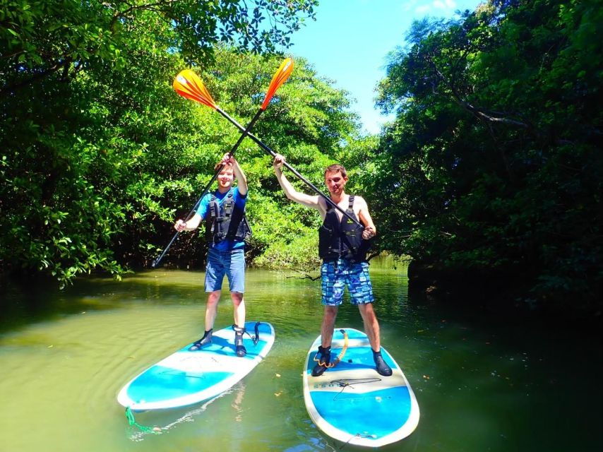 Ishigaki Island: SUP/Kayaking and Snorkeling at Blue Cave