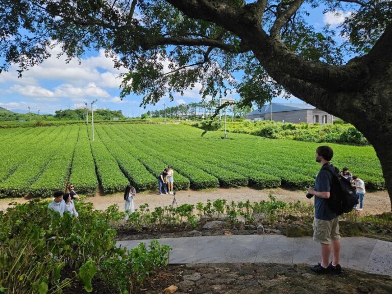 Jeju Island West Bus Tour With Lunch Included Full Day Trip