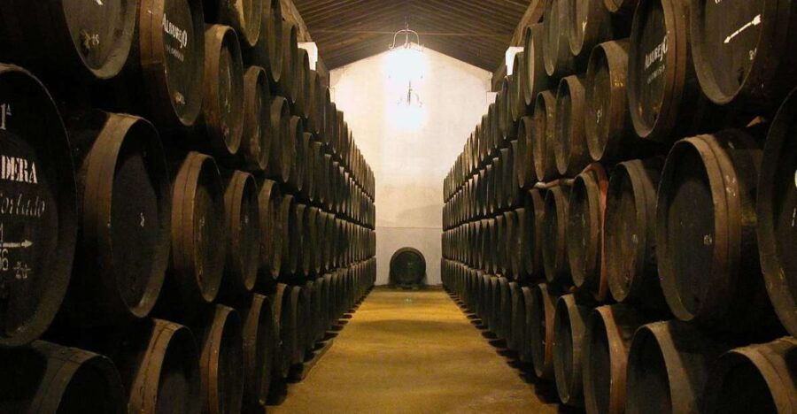Jerez: Bodegas Álvaro Domecq Guided Tour With 4 Wine Tasting