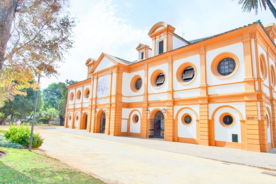 Jerez De La Frontera: How the Andalusian Horses Dance - Good To Know