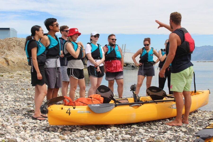 Kaikoura: Seal-Watching Pedal Kayak Tour - Good To Know