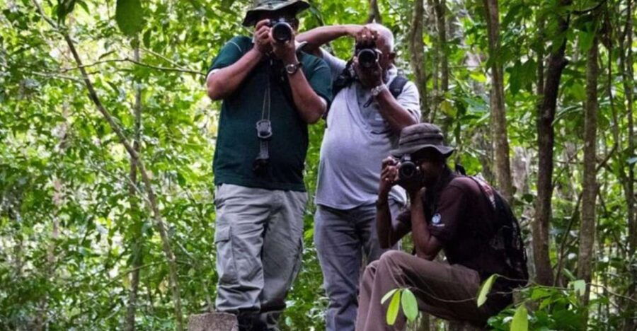 Kanneliya Forest Discovery: Guided Nature Expedition”