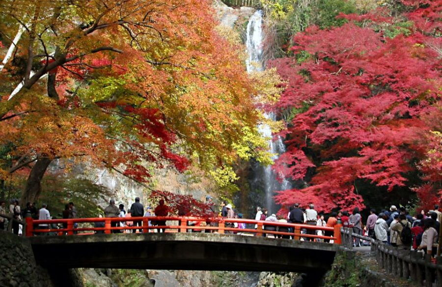 Kansai: Hankyu Railways 1 or 2 Days Tourist Pass - Good To Know