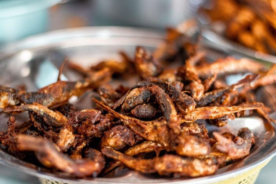 Kathmandu Sightseeing With Epic Food Tours - Good To Know